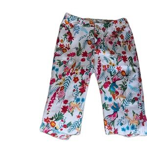 Lena Gabrielle Women Size 12‎ Pants Fun Print Inseam 29 Travel Cruising